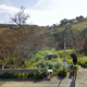 Illustration for article titled Book Of Roadside Prostitutes Made Entirely With Google Street View